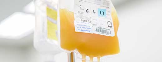 An IV bag of fresh frozen plasma